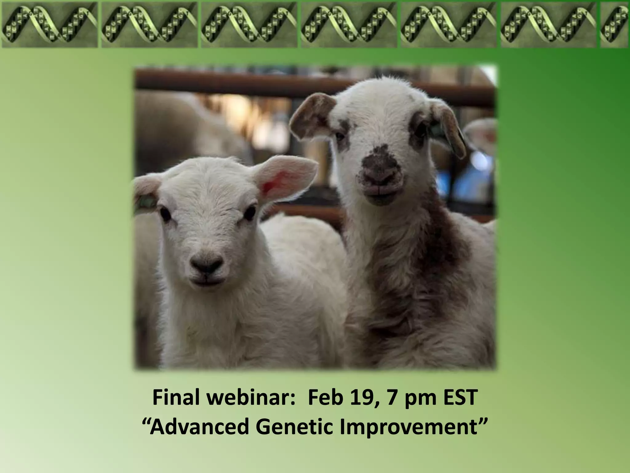 Final webinar: Feb 19, 7 pm EST
“Advanced Genetic Improvement”
 