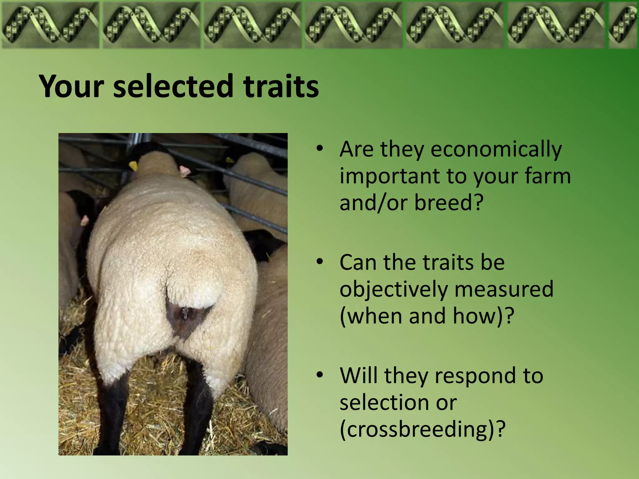 Your selected traits
                   • Are they economically
                     important to your farm
                     and/or breed?

                   • Can the traits be
                     objectively measured
                     (when and how)?

                   • Will they respond to
                     selection or
                     (crossbreeding)?
 