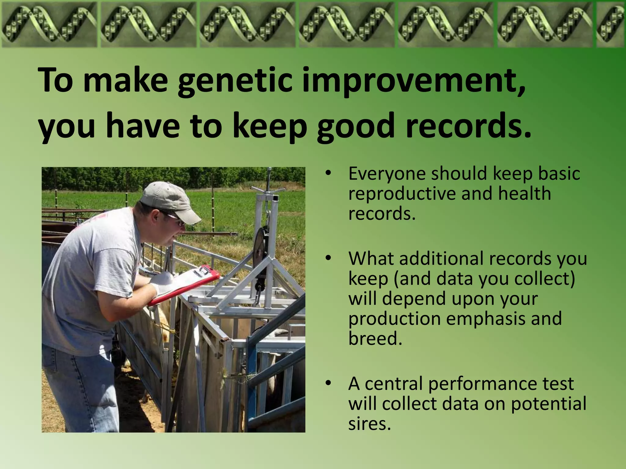 To make genetic improvement,
you have to keep good records.
                 • Everyone should keep basic
                   reproductive and health
                   records.

                 • What additional records you
                   keep (and data you collect)
                   will depend upon your
                   production emphasis and
                   breed.

                 • A central performance test
                   will collect data on potential
                   sires.
 