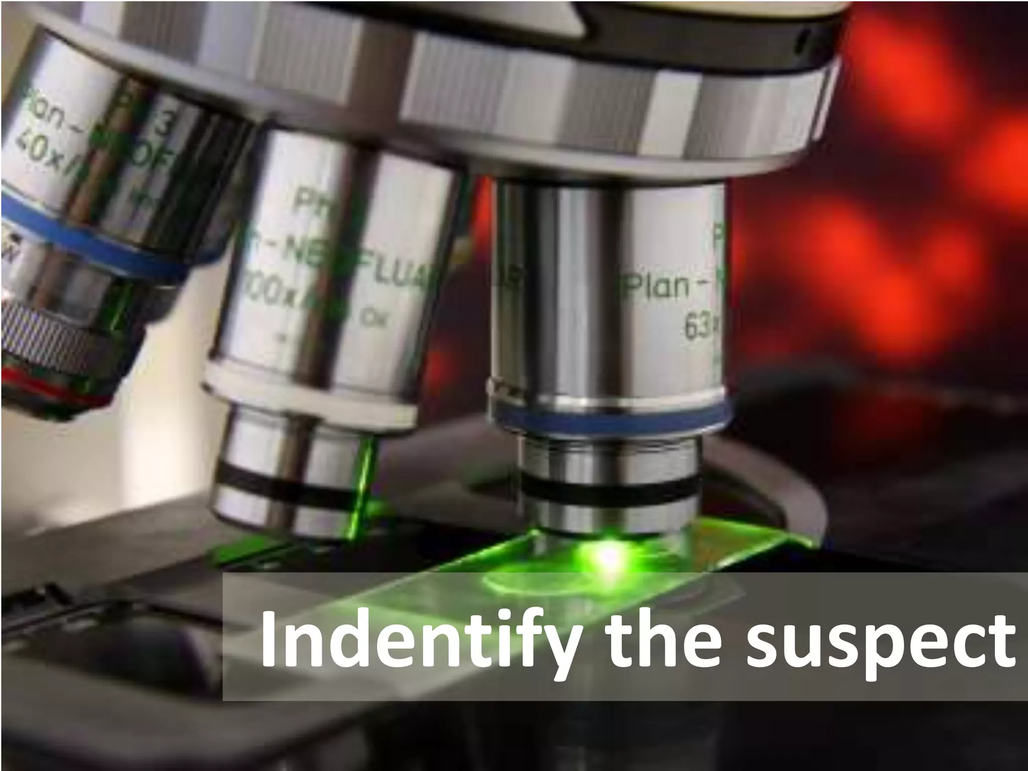 Indentify the suspect