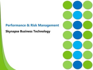 Skynapse Business Technology Performance & Risk Management 