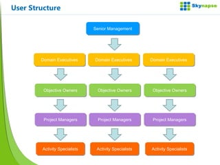 User Structure Senior Management Domain Executives Objective Owners Project Managers Activity Specialists Domain Executives Objective Owners Project Managers Activity Specialists Domain Executives Objective Owners Project Managers Activity Specialists 
