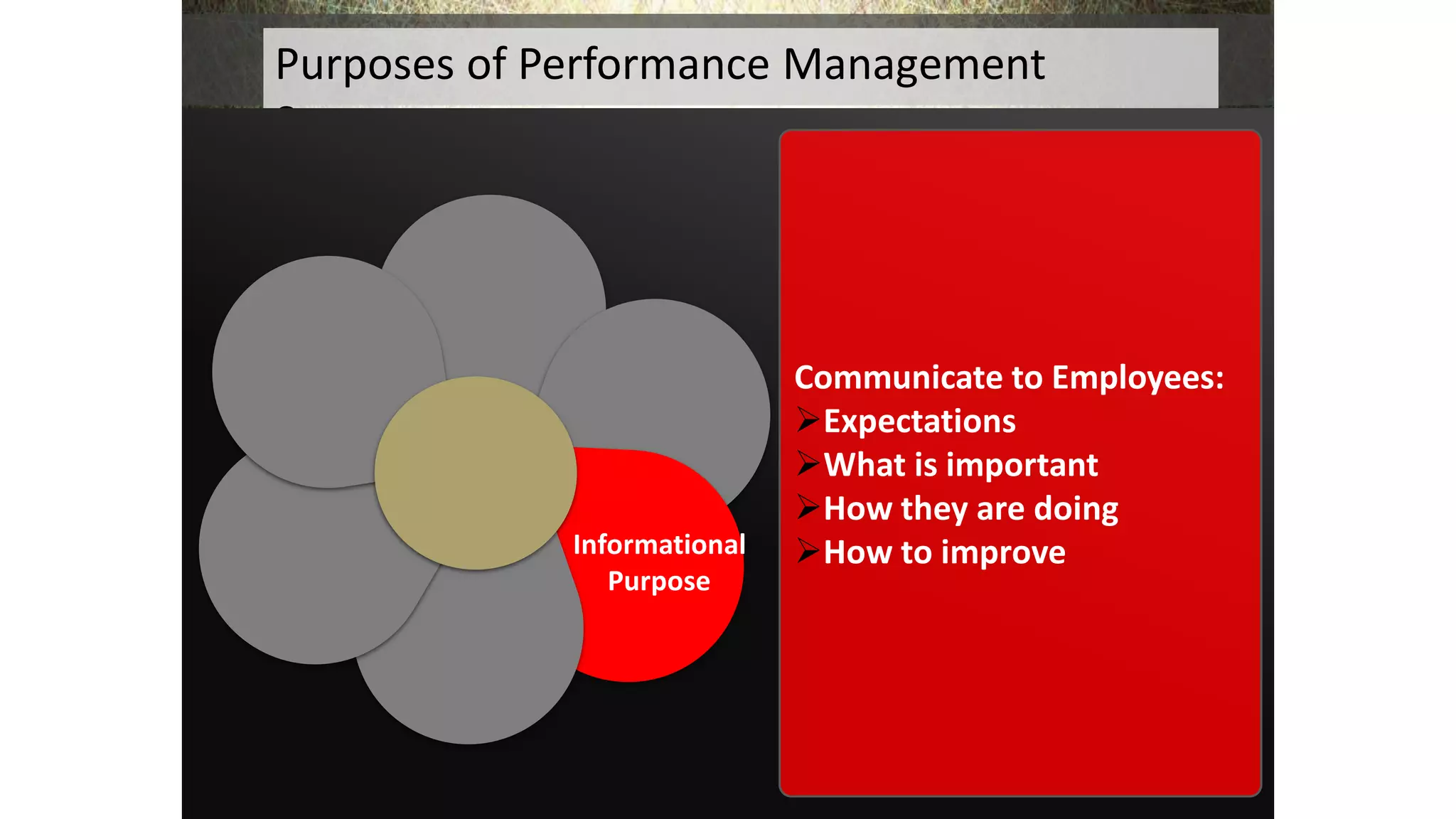 Purposes of Performance Management
Systems:
Informational
Purpose
Communicate to Employees:
Expectations
What is important
How they are doing
How to improve
 
