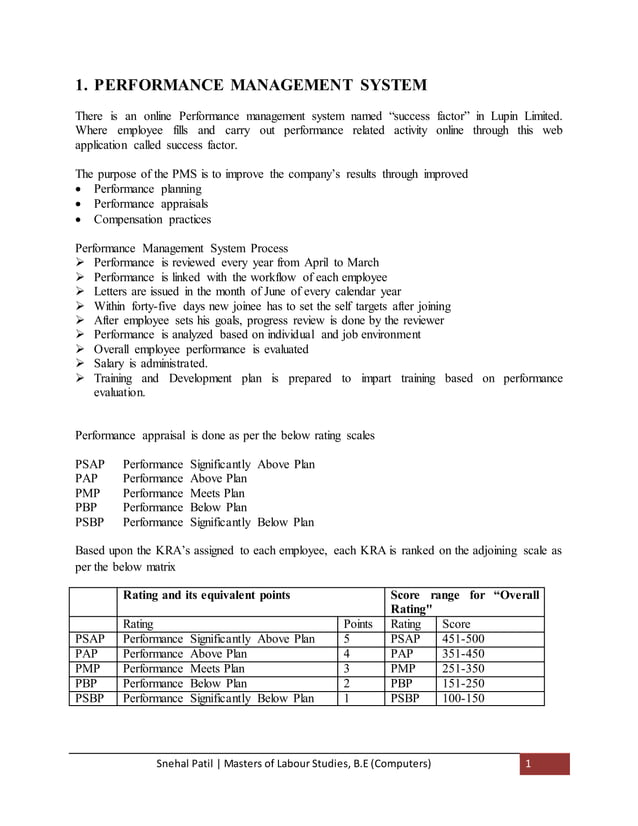 Performance Management System | PDF