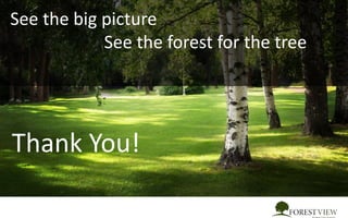 Financial Offer
See the big picture
See the forest for the tree
Thank You!
 