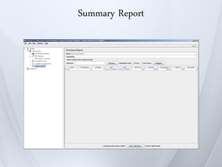Summary Report
 