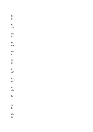 hi
n
C
++
en
vi
ro
nm
en
t
M
E
L
-C
ex
ec
ut
ab
le
,
w
hi
ch
in
 