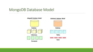 MongoDB Database Model
 