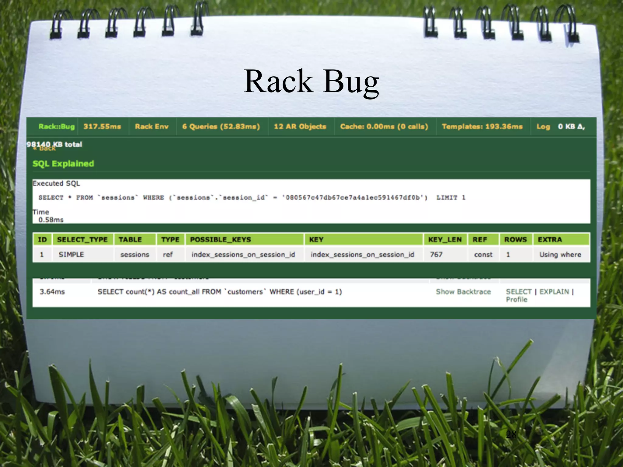 Rack Bug




           28
 