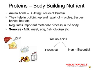 Proteins – Body Building Nutrient Amino Acids – Building Blocks of Protein. .  They help in building up and repair of muscles, tissues, bones, hair etc,  Regulates important metabolic process in the body.  Sources -  Milk, meat, egg, fish, chicken etc  Amino Acids Essential   Non – Essential  