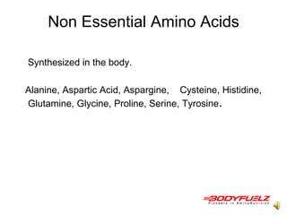 Non Essential Amino Acids Synthesized in the body. Alanine, Aspartic Acid, Aspargine,  Cysteine, Histidine, Glutamine, Glycine, Proline, Serine, Tyrosine .  