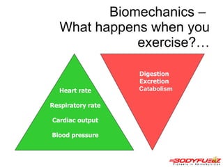 Biomechanics –  What happens when you exercise?… Heart rate Respiratory rate Cardiac output Blood pressure Digestion Excretion Catabolism 