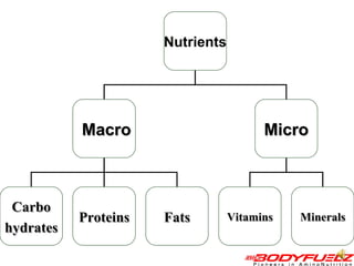 Nutrients Macro Micro Carbo hydrates Proteins Fats Vitamins Minerals 