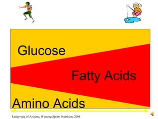 Glucose Fatty Acids Amino Acids High Intensity Activity Low Intensity Activity University of Arizona, Winning Sports Nutrition, 2004 