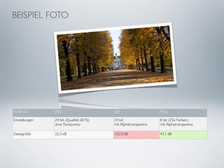 BEISPIEL FOTO




FORMAT          JPEG                      GIF                    PNG

Einstellungen   24 bit (Qualität: 60 %)   24 bit                 8 bit (256 Farben)
                ohne Transparenz          mit Alphatransparenz   mit Alphatransparenz

Dateigröße      22,3 kB                   152,0 kB               47,1 kB
 