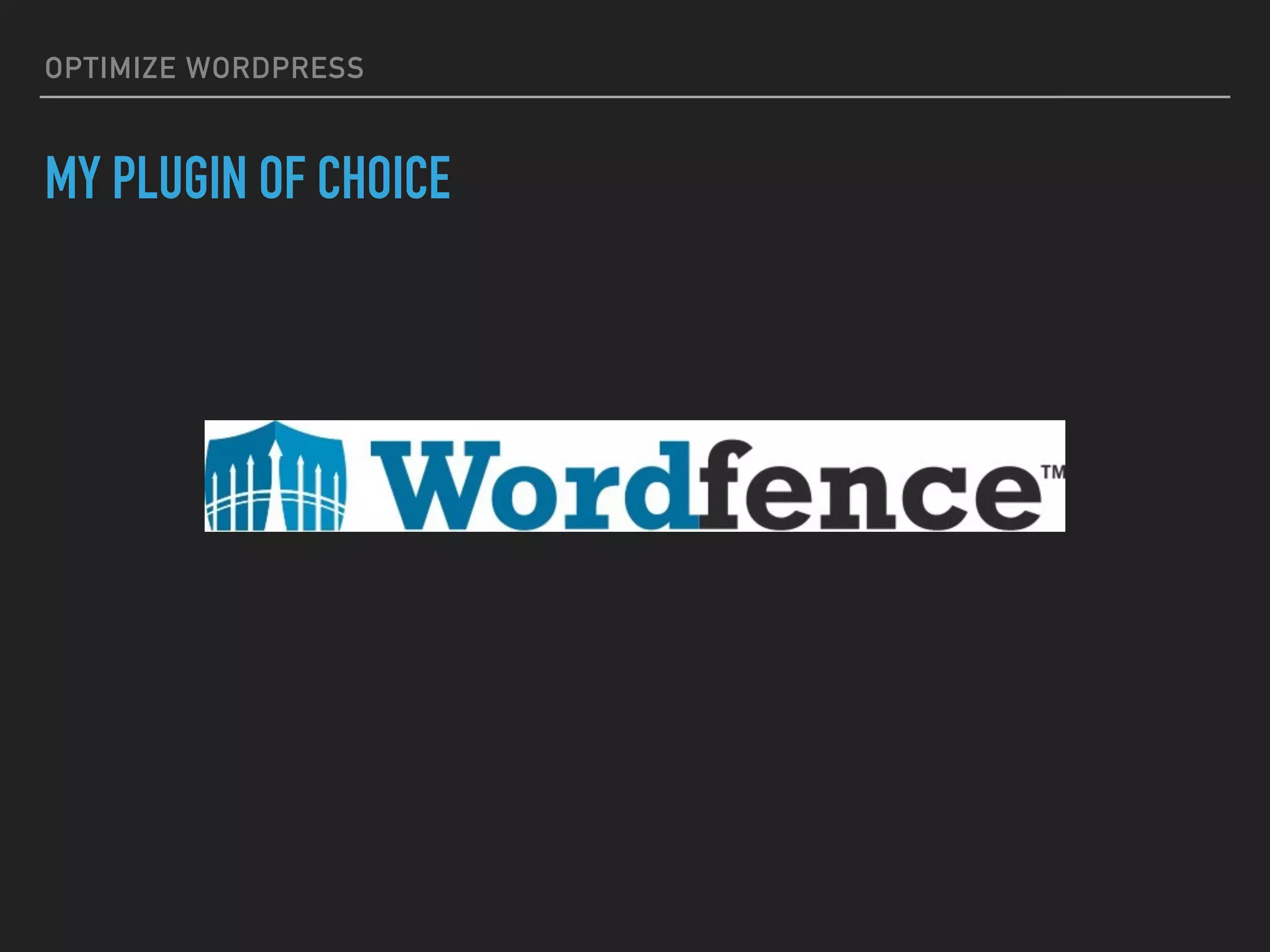 OPTIMIZE WORDPRESS MY PLUGIN OF CHOICE 