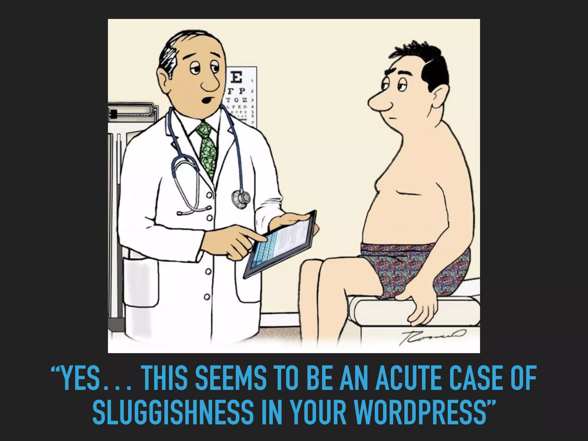 “YES… THIS SEEMS TO BE AN ACUTE CASE OF   SLUGGISHNESS IN YOUR WORDPRESS” 