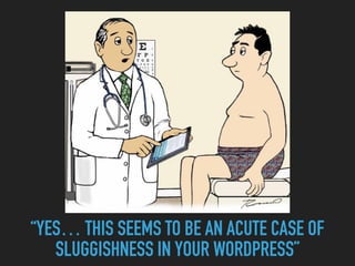 “YES… THIS SEEMS TO BE AN ACUTE CASE OF  
SLUGGISHNESS IN YOUR WORDPRESS”
 