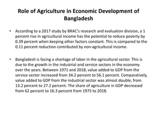 Role of Agriculture in Economic Development of
Bangladesh
• According to a 2017 study by BRAC’s research and evaluation division, a 1
percent rise in agricultural income has the potential to reduce poverty by
0.39 percent when keeping other factors constant. This is compared to the
0.11 percent reduction contributed by non-agricultural income.
• Bangladesh is facing a shortage of labor in the agricultural sector. This is
due to the growth in the industrial and service sectors in the economy
over the years. Between 1971 and 2018, value added to GDP from the
service sector increased from 34.2 percent to 56.1 percent. Comparatively,
value added to GDP from the industrial sector was almost double, from
13.2 percent to 27.2 percent. The share of agriculture in GDP decreased
from 62 percent to 16.3 percent from 1975 to 2018.
 