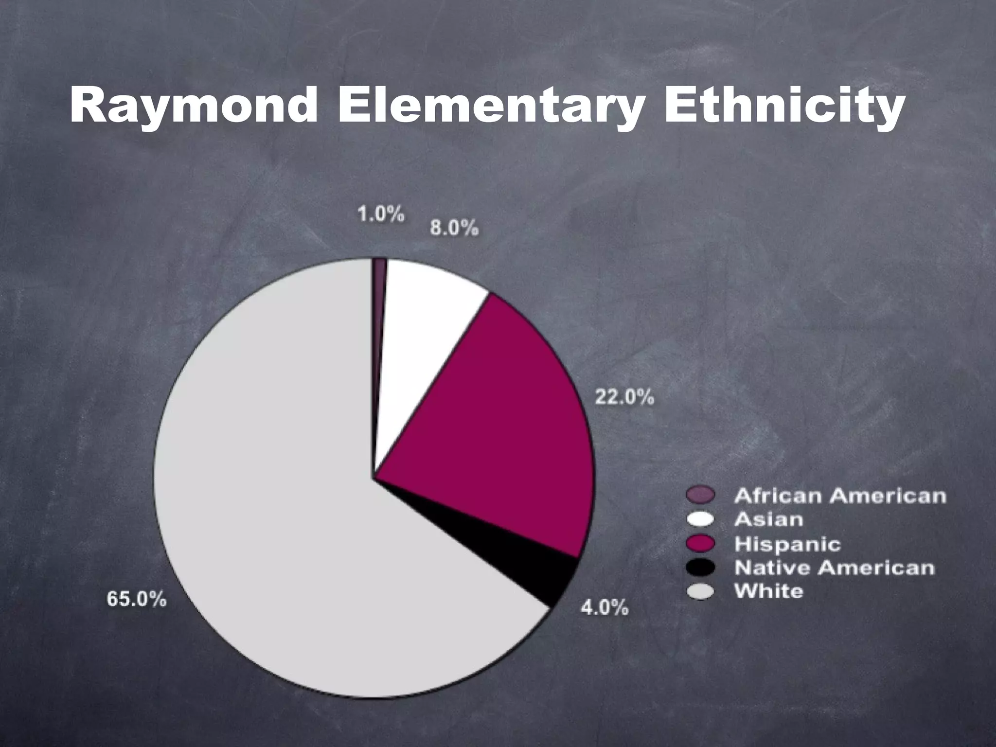 Raymond Elementary Ethnicity 