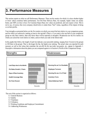 Performance report sample | PDF