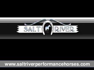 www.saltriverperformancehorses.com
 