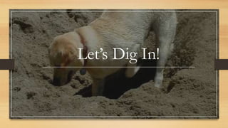 Let’s Dig In!
 