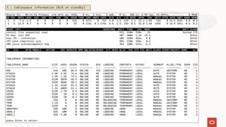 t : tablespace information (N/A on standby)
 