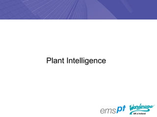 Plant Intelligence
 