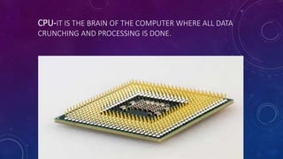 CPU-IT IS THE BRAIN OF THE COMPUTER WHERE ALL DATA
CRUNCHING AND PROCESSING IS DONE.
 