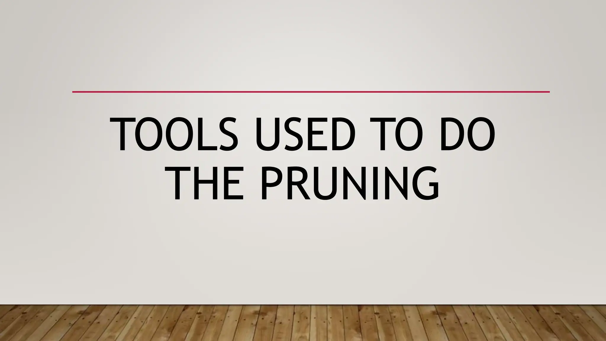 TOOLS USED TO DO
THE PRUNING
 