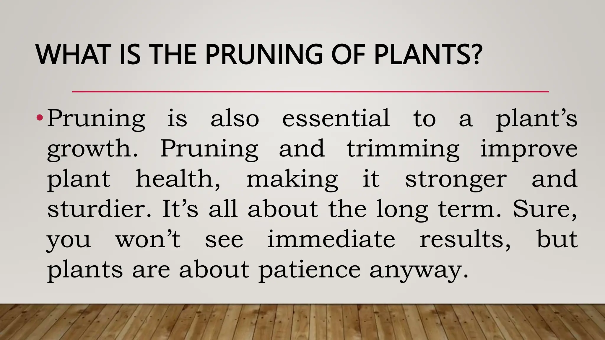 WHAT IS THE PRUNING OF PLANTS?
•Pruning is also essential to a plant’s
growth. Pruning and trimming improve
plant health, making it stronger and
sturdier. It’s all about the long term. Sure,
you won’t see immediate results, but
plants are about patience anyway.
 