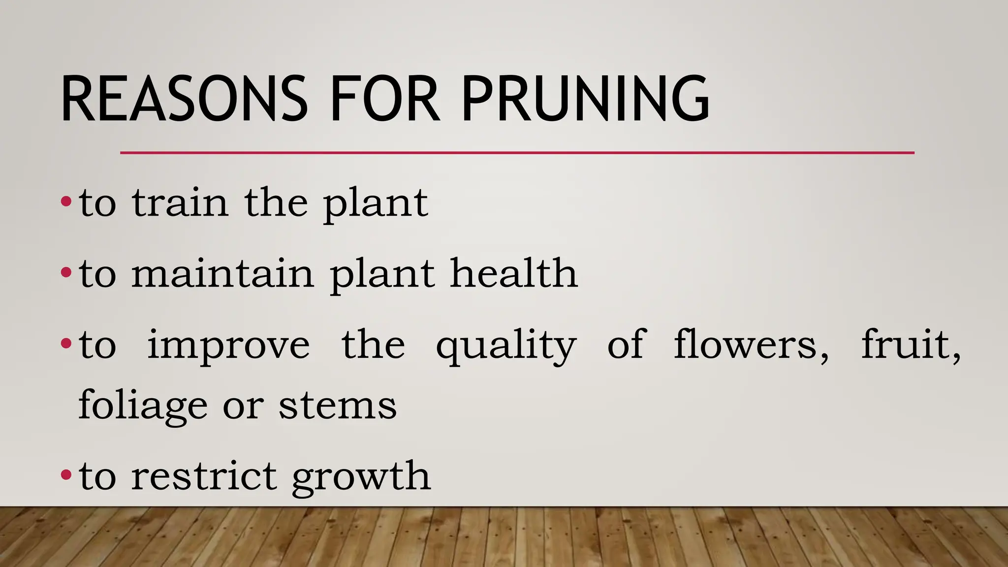 REASONS FOR PRUNING
•to train the plant
•to maintain plant health
•to improve the quality of flowers, fruit,
foliage or stems
•to restrict growth
 