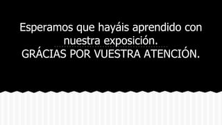 Esperamos que hayáis aprendido con 
nuestra exposición. 
GRÁCIAS POR VUESTRA ATENCIÓN. 
