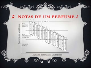♫ NOTAS DE UM PERFUME ♪
 