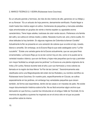 2. MARCO TEÓRICO 2.1 ISORA (Rubiaceae Ixora Coccínea)
Es un arbusto grande y hermoso, de más de dos metros de alto, generoso en su follaje y
en su florecer: “Es un arbusto de hoja perenne, densamente ramificado. Puede llegar a
medir hasta tres metros según el cultivo. Centenares de pequeñas y menudas estrellas
rojas amontonadas en grupitos de veinte o treinta expelen su agradable aroma
característico, Tiene hojas sésiles, lustrosas de color verde oscuro. Pertenece a la familia
del café y se cultiva en climas medio y cálido. Necesita mucho sol, aire y tierra suelta. En
otras latitudes la hay también. En algunas regiones de Colombia la llaman Coralito”
Actualmente la flor se presenta en una variación de colores que va entre el rojo, rosado,
blanco o amarillo. Sin embargo, es la Ecsora Roja la que está catalogada como “La flor
cucuteña”. “Existe una variada gama de la Escora actualmente, que se usa para fines
ornamentales. La Ecsora Roja ya no es tan común hoy en día, como si lo puede ser la
variedad rosada o blanca, que son de flores y hojas más pequeñas que la roja y permiten
con mayor facilidad su arreglo para los jardines” La Ecsora es una planta originaria de la
India y Sri Lanka, florece durante todo el año y por sus hermosos y vivos colores es
llamada en la región de Asia Menor “la Flor de las Llamas”. Taxonómicamente esta
clasificada como una Magnoliopsida del orden de los Rubiales y su nombre científico es
Rubiaceae Ixora Coccínea. En nuestro país, específicamente en Cúcuta, se cultiva
especialmente en los jardines, sin embargo hay variedades pequeñas que crecen
también, de forma casi espontánea, dentro de las casas o en macetas de patio. No existe
mayor documentación histórica sobre la flor. No es fácil encontrar algún archivo que
demuestre en que forma y cuando fue introducida en el antiguo Valle de Tonchalá. En la
memoria de aquellos a quienes ha inspirado es en el único sitio en el que se puede
escudriñar sobre la misma.
15
 