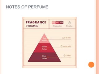 NOTES OF PERFUME
 