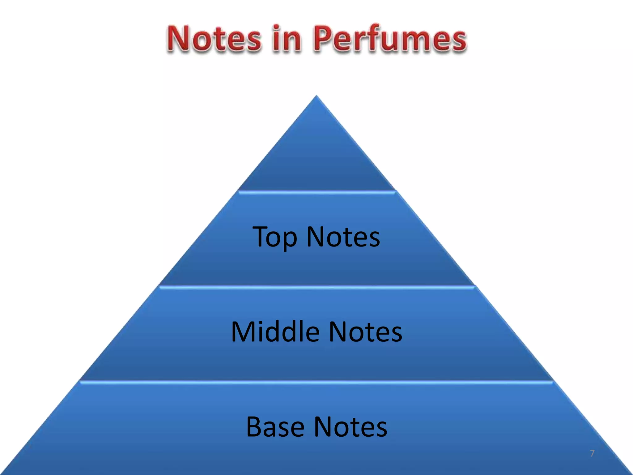 Top Notes
Middle Notes
Base Notes
7
 
