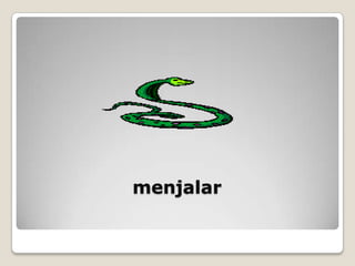 menjalar
 