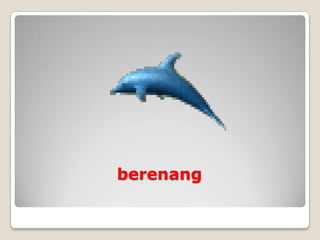 berenang
 