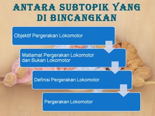 Pergerakan Lokomotor & Bukan Lokomotor
