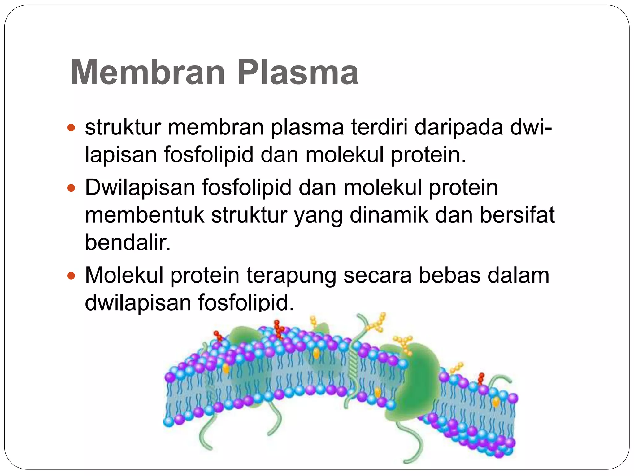 Pergerakan merentas membran plasma (2) | PPT