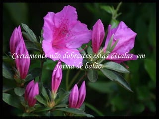 mm  Certamente não dobrastes estas pétalas  em  forma de balão. 