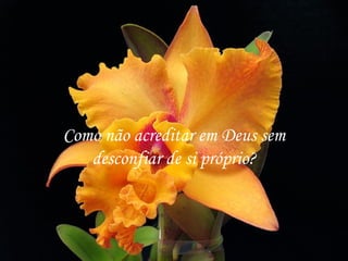 Como não acreditar em Deus sem desconfiar de si próprio? 