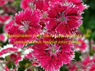 Manejaríamos feito loucos  uma tesoura e não  conseguiríamos modelar estas pétalas.  