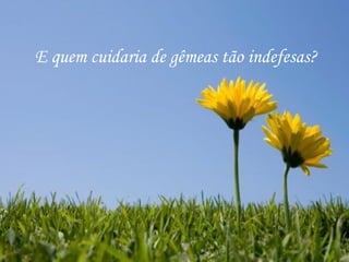 E quem cuidaria de gêmeas tão indefesas? 