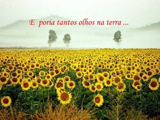 E  poria tantos olhos na terra ... 