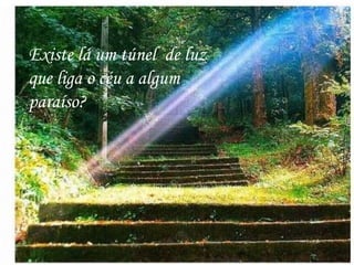 Existe lá um túnel  de luz que liga o céu a algum paraíso? 