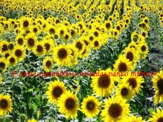 E tantas parabólicas voltadas para o infinito? 