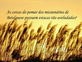 As cercas do pomar dos missionários de Betelguese possuem estacas tão aveludadas?  